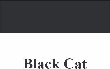 Siser PSV Sign Vinyl 02 Black Cat 12" X 12" Sheet