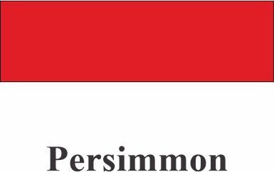 Siser PSV Sign Vinyl 55 Persimmon 12" - VIS05512X50Y